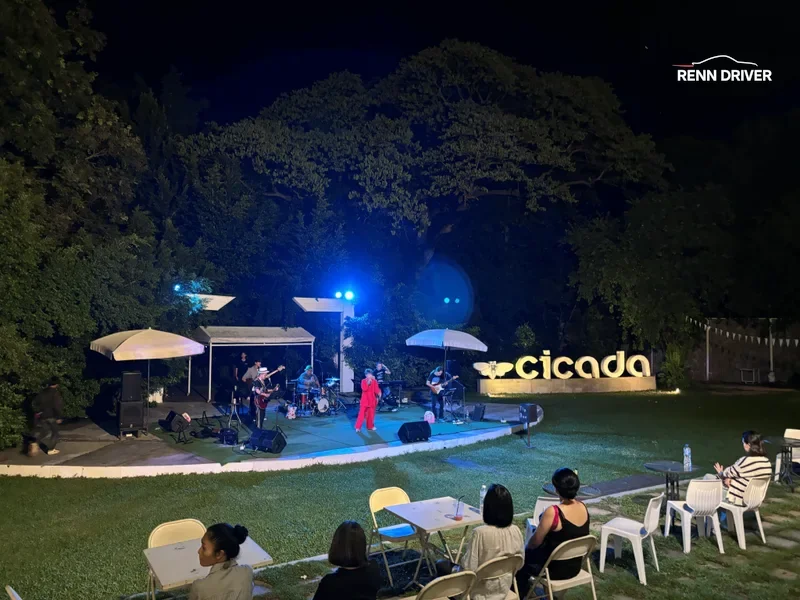 Cicada market in Thailand