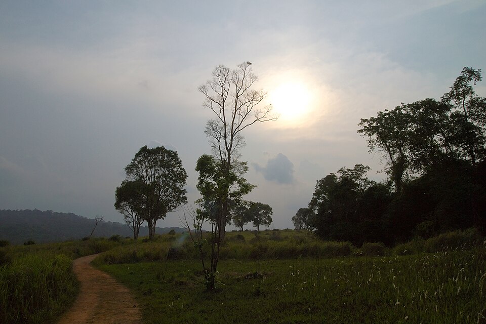 Sunset over Khao Yai grasslands and trees