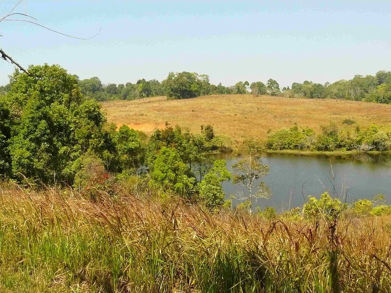 Khao Yai National Park landscape near Rancho Charnvee