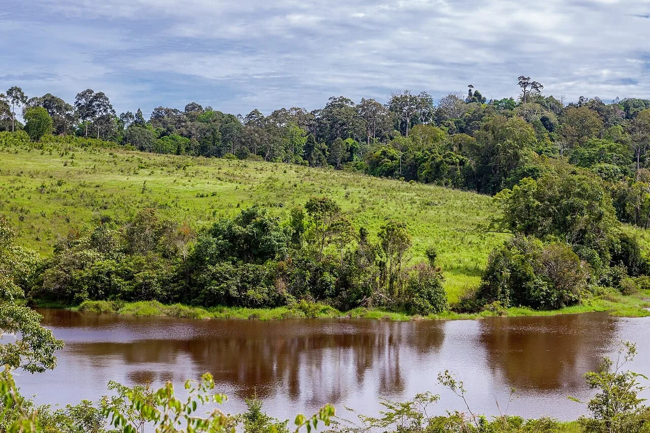 Nong Phak Chi observation tower in Khao Yai National Park
